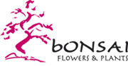 Bonsai client logo