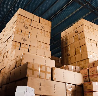 BeiruGate Logistics