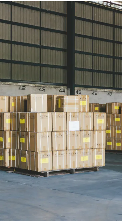 BeiruGate Logistics